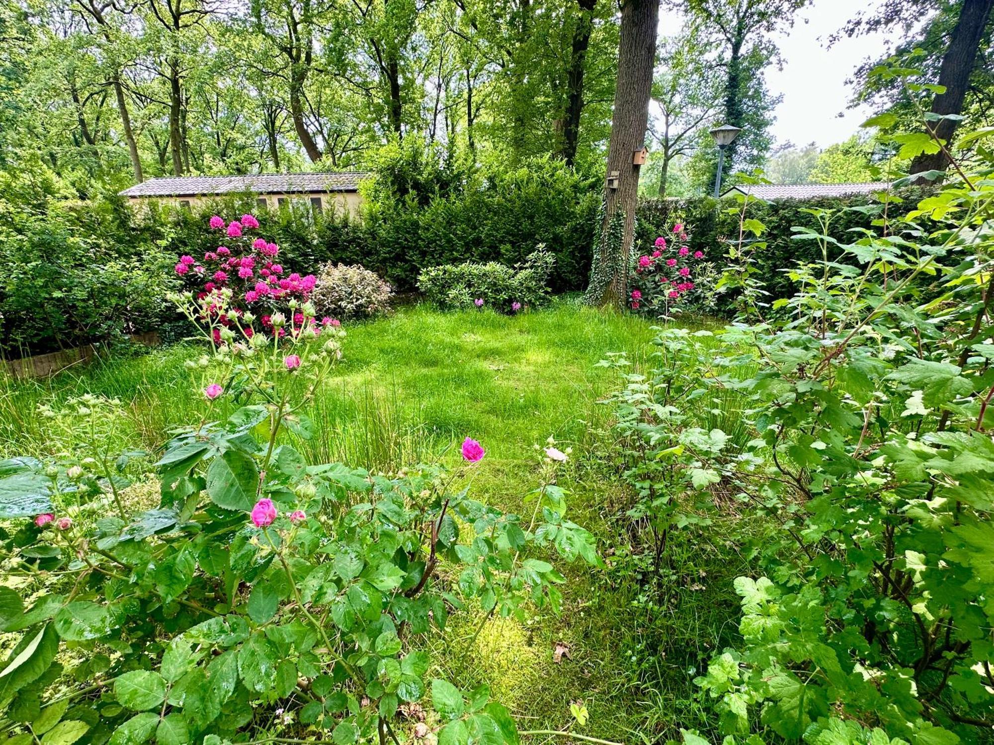 Vakantie Veluwe Wageningen Luaran gambar