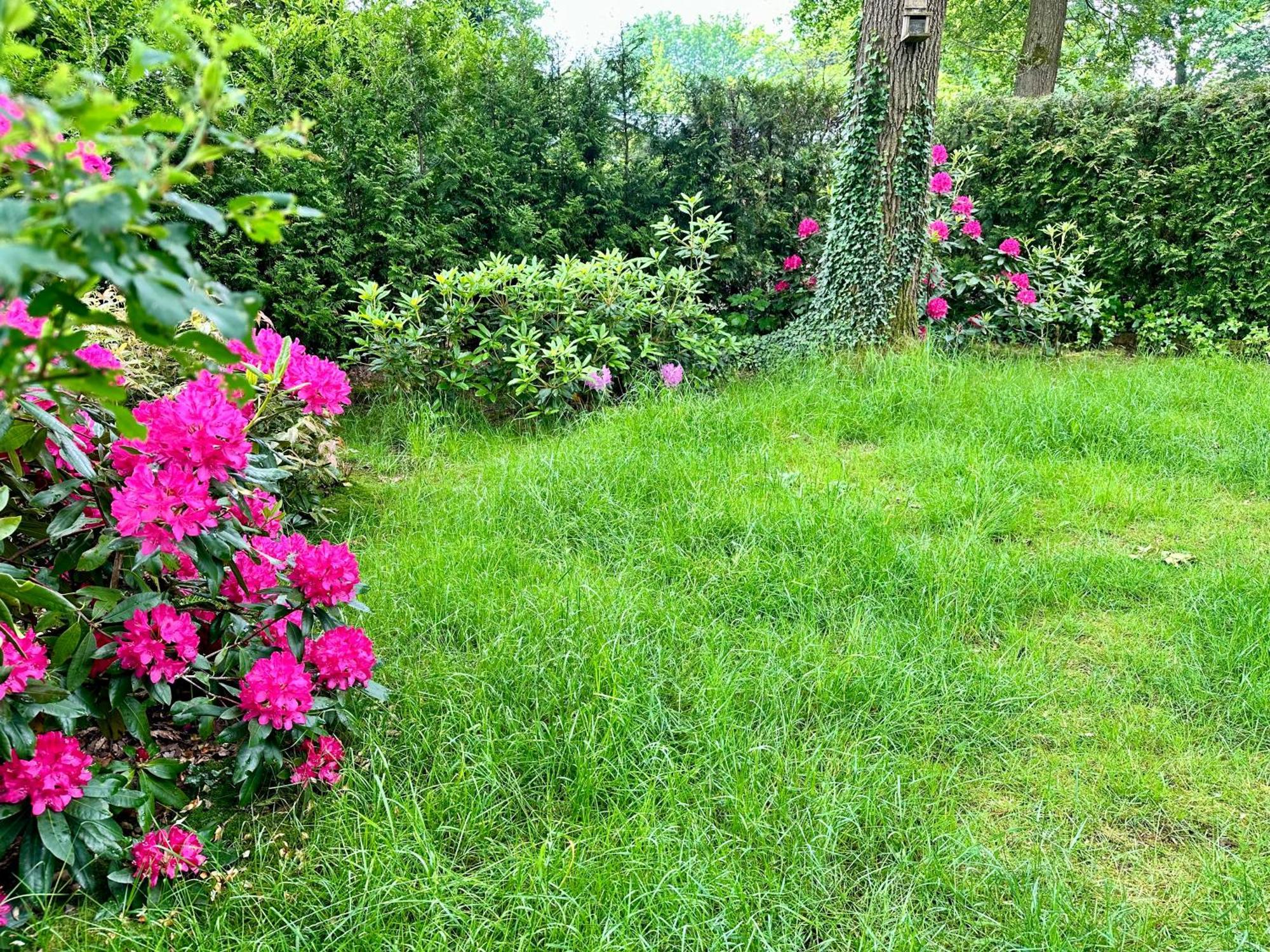 Vakantie Veluwe Wageningen Luaran gambar